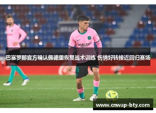 巴塞罗那官方确认佩德里恢复战术训练 伤情好转接近回归赛场